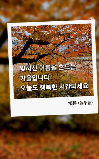 늘푸름(심영보)님의 자유주제 · 사진전 작성글 사진