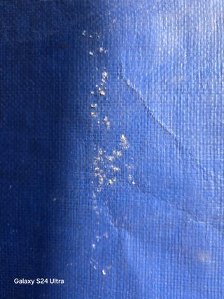 청계닭님의 자유주제 · 건의해요 작성글 사진