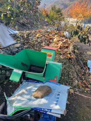 김용대님의 자유주제 · 자유게시판 작성글 사진