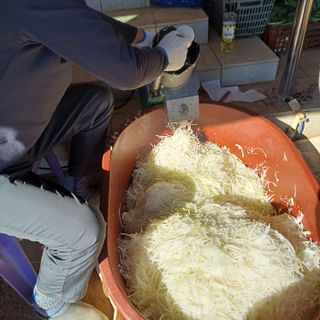 삼성농산님의 자유주제 · 자유게시판 작성글 사진