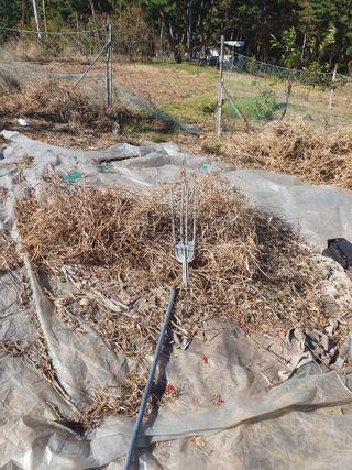 두릅나무10495님의 자유주제 · 자유게시판 작성글 사진