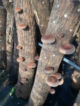 팜모닝 자유주제·자유게시판 게시글 이미지