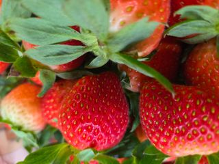 안성화님의 자유주제 · 자유게시판 작성글 사진