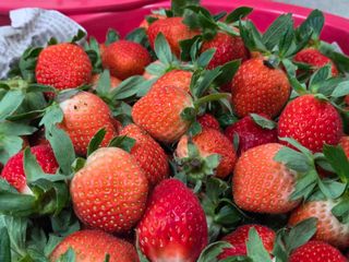 안성화님의 자유주제 · 자유게시판 작성글 사진