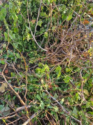 김용대님의 자유주제 · 자유게시판 작성글 사진