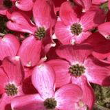 팜모닝 · 게시글 이미지