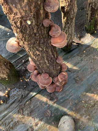 한밭농원님의 자유주제 · 자유게시판 작성글 사진