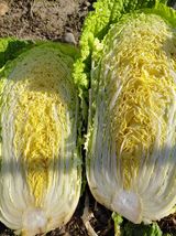 팜모닝 자유주제·자유게시판 게시글 이미지