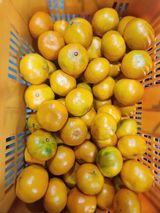 팜모닝 · 게시글 이미지