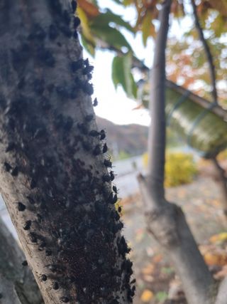 김용대님의 자유주제 · 자유게시판 작성글 사진