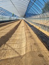 팜모닝 자유주제·자유게시판 게시글 이미지