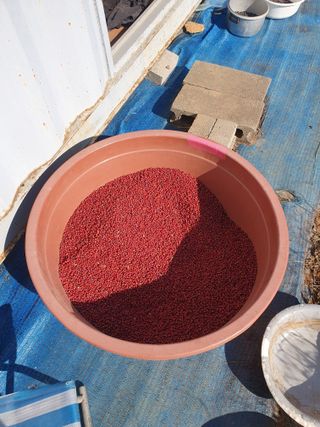 두릅나무10495님의 자유주제 · 자유게시판 작성글 사진