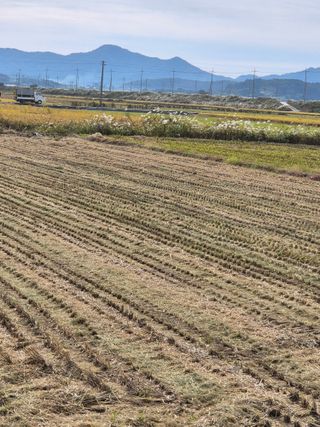 김영진(전남영광)님의 자유주제 · 자유게시판 작성글 사진