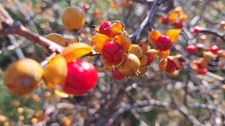 이정운님의 자유주제 · 자유게시판 작성글 사진