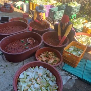 삼성농산님의 자유주제 · 자유게시판 작성글 사진