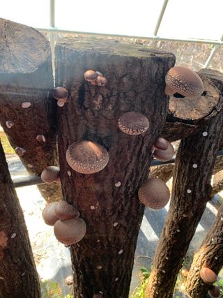 한밭농원님의 자유주제 · 자유게시판 작성글 사진