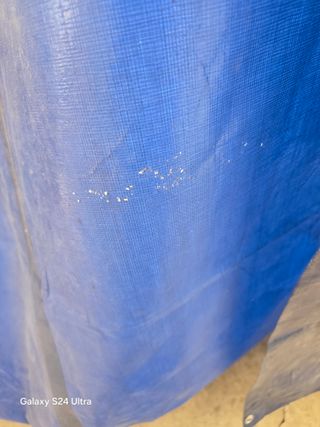 청계닭님의 자유주제 · 건의해요 작성글 사진