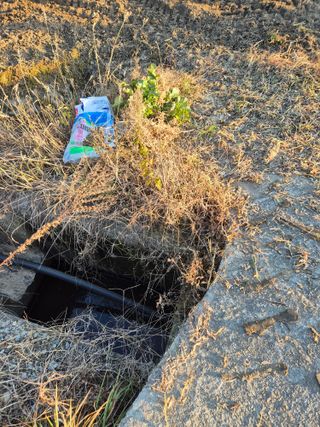 김영진(전남영광)님의 자유주제 · 자유게시판 작성글 사진