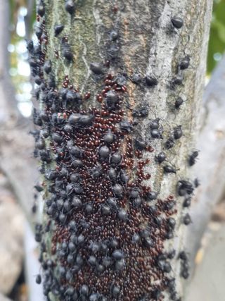 김용대님의 자유주제 · 자유게시판 작성글 사진