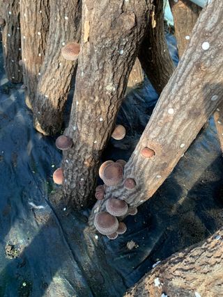 한밭농원님의 자유주제 · 자유게시판 작성글 사진