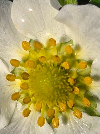 안성화님의 자유주제 · 자유게시판 작성글 사진