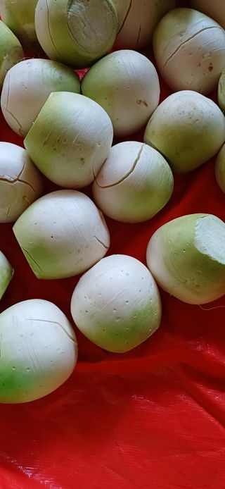 산골마님님의 자유주제 · 자유게시판 작성글 사진