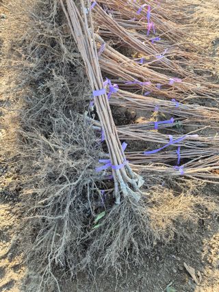 우리농원님의 자유주제 · 자유게시판 작성글 사진