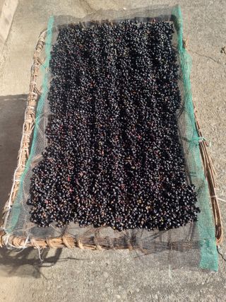 정석범님의 작성글 사진