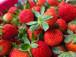 안성화님의 자유주제 · 자유게시판 작성글 사진