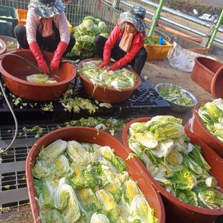 삼성농산님의 자유주제 · 자유게시판 작성글 사진