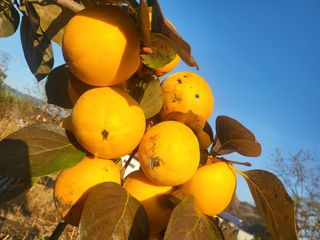 장용익님의 작성글 사진