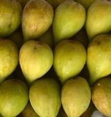 팜모닝 · 게시글 이미지