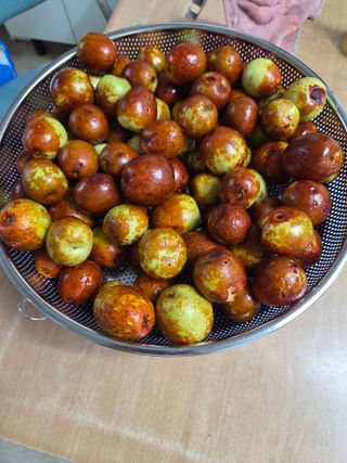 무형교회목사 안영진님의 작성글 사진