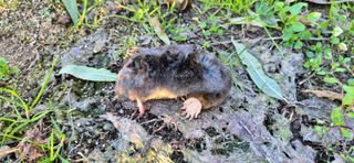 이상윤님의 자유주제 · 자유게시판 작성글 사진