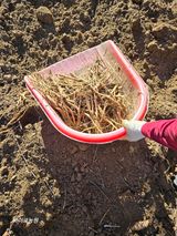 팜모닝 · 게시글 이미지