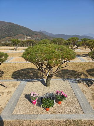 최동구님의 자유주제 · 자유게시판 작성글 사진