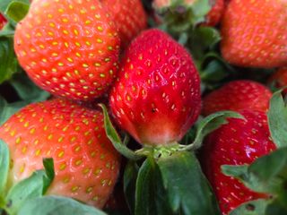 안성화님의 자유주제 · 자유게시판 작성글 사진