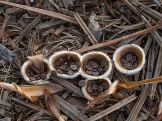 고길동님의 자유주제 · 자유게시판 작성글 사진