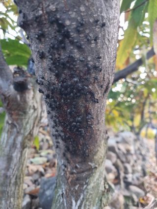 김용대님의 자유주제 · 자유게시판 작성글 사진
