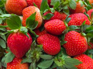 안성화님의 자유주제 · 자유게시판 작성글 사진