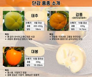 우리농원님의 자유주제 · 자유게시판 작성글 사진