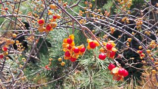 이정운님의 자유주제 · 자유게시판 작성글 사진