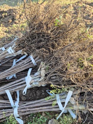 우리농원님의 자유주제 · 자유게시판 작성글 사진