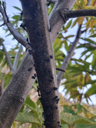 김용대님의 자유주제 · 자유게시판 작성글 사진