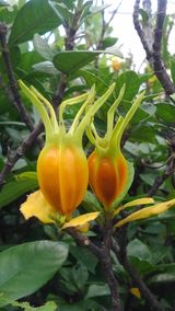 팜모닝 자유주제·자유게시판 게시글 이미지