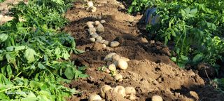 김연준님의 자유주제 · 자유게시판 작성글 사진