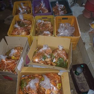 삼성농산님의 자유주제 · 자유게시판 작성글 사진