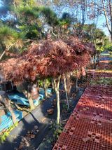 팜모닝 자유주제·자유게시판 게시글 이미지