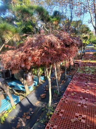 무료지식나눔 팜닥터님의 자유주제 · 자유게시판 작성글 사진