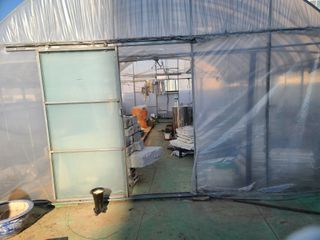 은혜농원(사과농사)님의 자유주제 · 자유게시판 작성글 사진